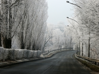 Téli képek városunkról - fotó: Sándor Judit