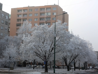 Téli képek városunkról - fotó: Sándor Judit