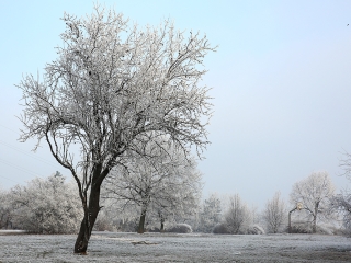 Téli képek városunkról - fotó: Sándor Judit