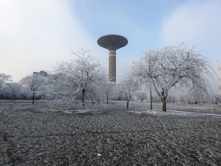 Téli képek városunkról - fotó: Sándor Judit