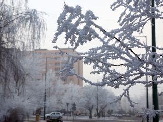 Téli képek városunkról - fotó: Sándor Judit