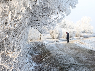 Téli képek városunkról - fotó: Sándor Judit