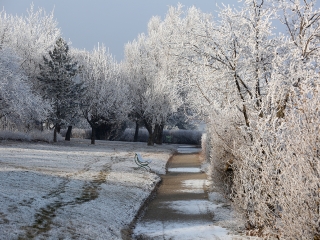 Téli képek városunkról - fotó: Sándor Judit