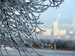 Téli képek városunkról - fotó: Sándor Judit