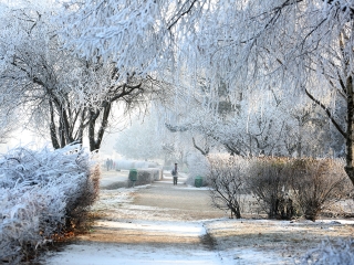 Téli képek városunkról - fotó: Sándor Judit