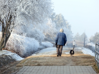 Téli képek városunkról - fotó: Sándor Judit