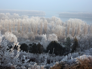 Téli képek városunkról - fotó: Sándor Judit