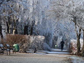 Téli képek városunkról - fotó: Sándor Judit