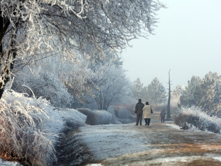 Téli képek városunkról - fotó: Sándor Judit