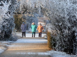 Téli képek városunkról - fotó: Sándor Judit
