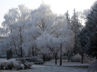 Téli képek városunkról - fotó: Sándor Judit