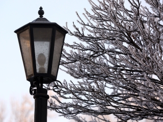 Téli képek városunkról - fotó: Sándor Judit