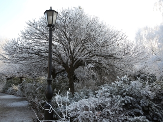 Téli képek városunkról - fotó: Sándor Judit