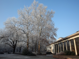 Téli képek városunkról - fotó: Sándor Judit