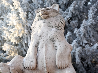 Téli képek városunkról - fotó: Sándor Judit