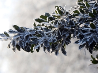 Téli képek városunkról - fotó: Sándor Judit