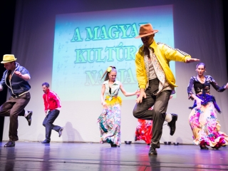 Pro Cultura Intercisae-díj 2017 - fotó: Ónodi Zoltán