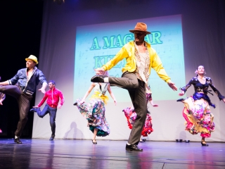 Pro Cultura Intercisae-díj 2017 - fotó: Ónodi Zoltán