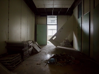 Takarítják a zöld SZTK-t - fotó: Ónodi Zoltán