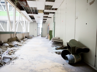 Takarítják a zöld SZTK-t - fotó: Ónodi Zoltán