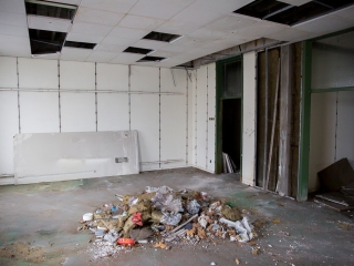 Takarítják a zöld SZTK-t - fotó: Ónodi Zoltán