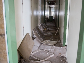 Takarítják a zöld SZTK-t - fotó: Ónodi Zoltán