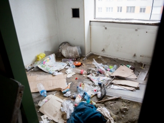 Takarítják a zöld SZTK-t - fotó: Ónodi Zoltán