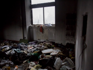 Takarítják a zöld SZTK-t - fotó: Ónodi Zoltán