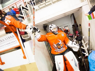 DAB - HK Beograd 8-3 - fotó: Ónodi Zoltán