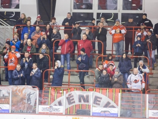 DAB - HK Beograd 8-3 - fotó: Ónodi Zoltán