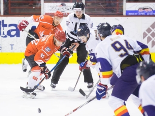 DAB - HK Beograd 8-3 - fotó: Ónodi Zoltán