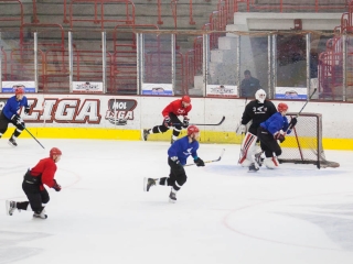 Szurkolói flashmob az Acélbikák edzésén - fotó: Ónodi Zoltán