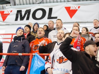 Szurkolói flashmob az Acélbikák edzésén - fotó: Ónodi Zoltán