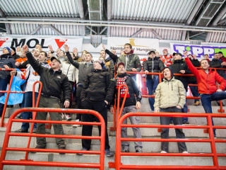 Szurkolói flashmob az Acélbikák edzésén - fotó: Ónodi Zoltán