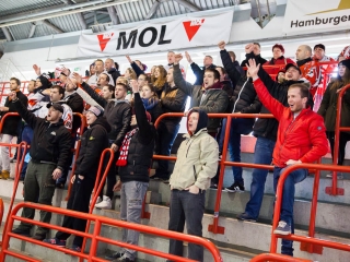 Szurkolói flashmob az Acélbikák edzésén - fotó: Ónodi Zoltán
