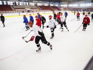 Szurkolói flashmob az Acélbikák edzésén - fotó: Ónodi Zoltán