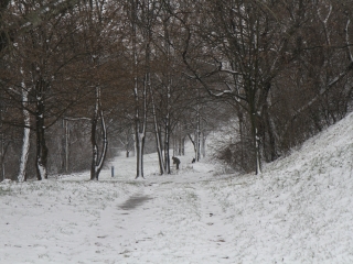 Futás a Duna-parton - fotó: Ónodi Zoltán