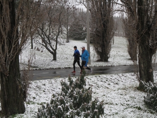 Futás a Duna-parton - fotó: Ónodi Zoltán