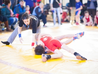 VI. Gurics György Birkózó Gála - fotó: Ónodi Zoltán