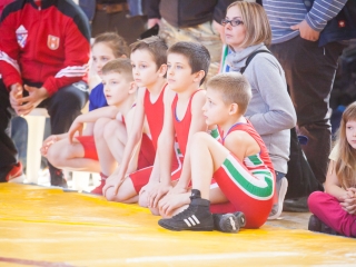 VI. Gurics György Birkózó Gála - fotó: Ónodi Zoltán