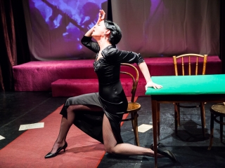 Lencsevégre kaptuk a Kuplékirályt - fotó: Ónodi Zoltán