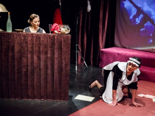 Lencsevégre kaptuk a Kuplékirályt - fotó: Ónodi Zoltán