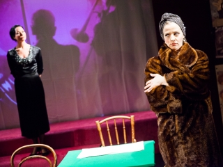 Lencsevégre kaptuk a Kuplékirályt - fotó: Ónodi Zoltán