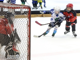 IV. Steel Bulls Cup U8 - fotó: 