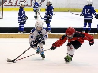 IV. Steel Bulls Cup U8 - fotó: 