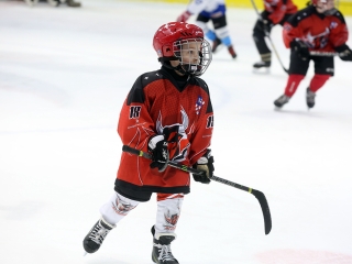 IV. Steel Bulls Cup U8 - fotó: 