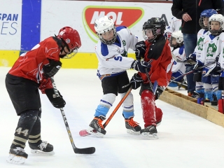 IV. Steel Bulls Cup U8 - fotó: 