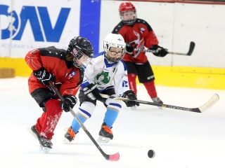 IV. Steel Bulls Cup U8 - fotó: 