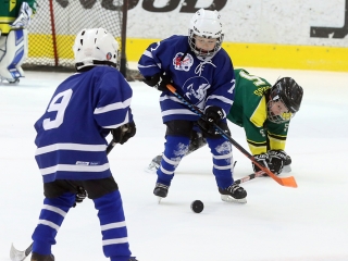 IV. Steel Bulls Cup U8 - fotó: 