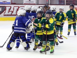 IV. Steel Bulls Cup U8 - fotó: 